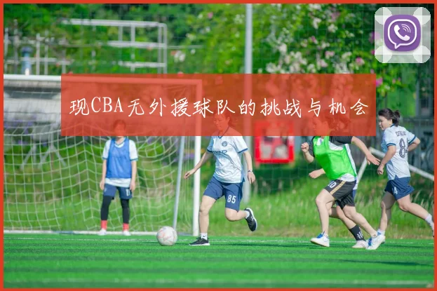 现CBA无外援球队的挑战与机会