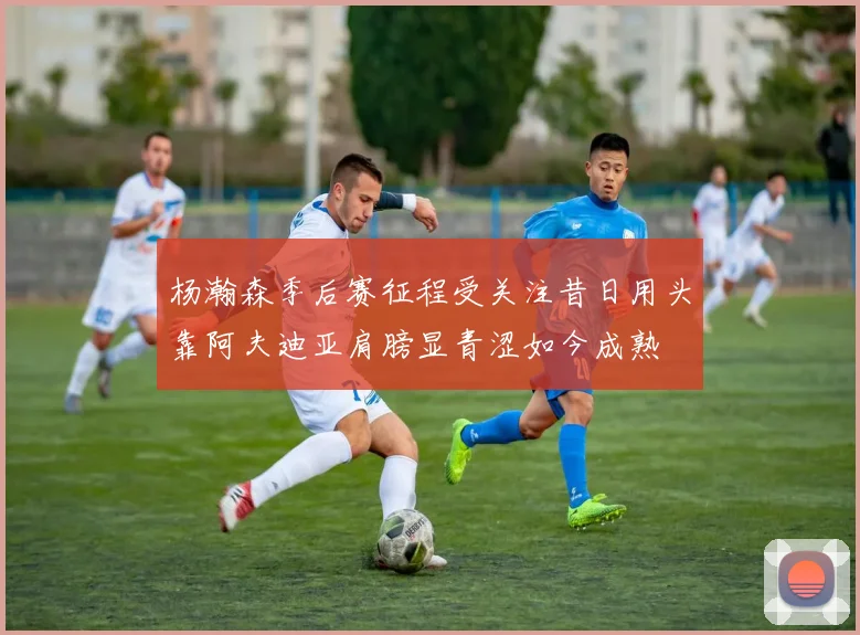 杨瀚森季后赛征程受关注昔日用头靠阿夫迪亚肩膀显青涩如今成熟