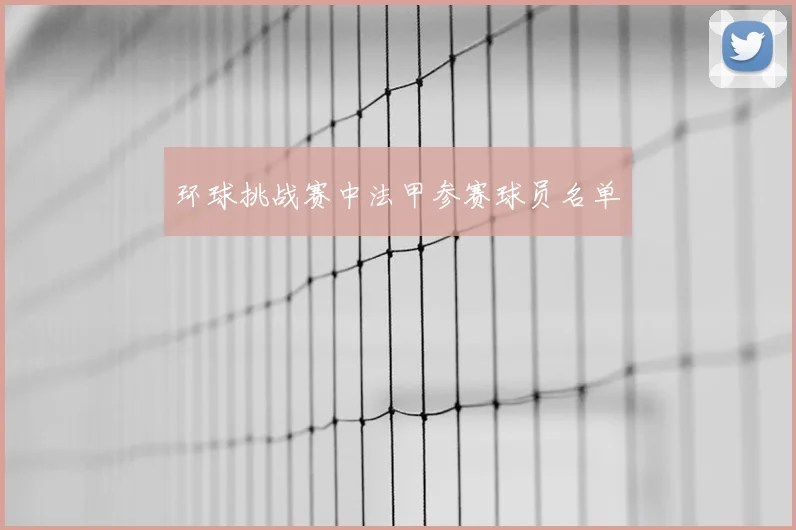 环球挑战赛中法甲参赛球员名单